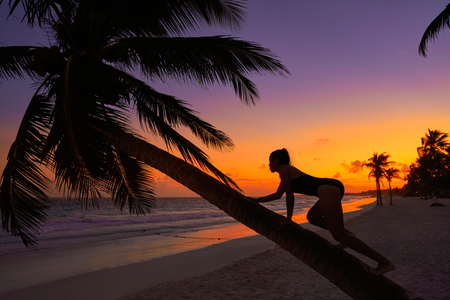 Girl silhouette on palm tree Caribbean sunset beach of Riviera Maya Mexicoの写真素材