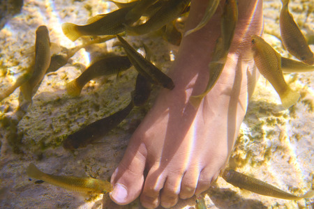 Cenotes sinkholes in mexico fishes suck feet dead skinの写真素材