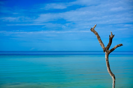 Holbox tropical Island in Quintana Roo of Mexicoの写真素材