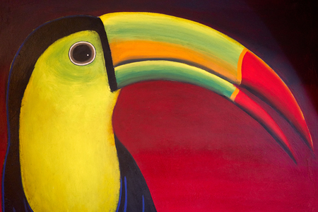 Tucan bird draw from Mayan Riviera in Mexicoの写真素材