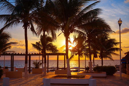 Riviera Maya Puerto Morelos sunrise beach palm trees in Mexicoの写真素材