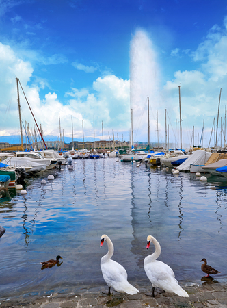 Geneva Geneve lake water Jet D'eau Switzerland Swiss Lemanの写真素材
