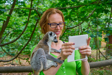 woman taking photo selfie with ring tailed lemur animal outdoorの写真素材