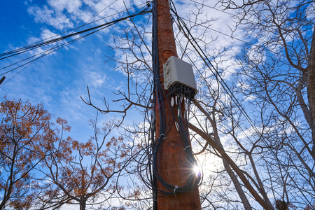 internet optical fiber connection box in a pole of wood