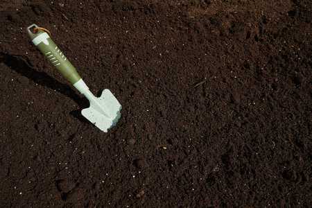 Garden trowel in substratum for orchardの写真素材