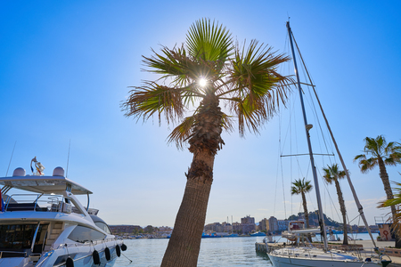Boats in marina port of Denia in alicante Spainの写真素材