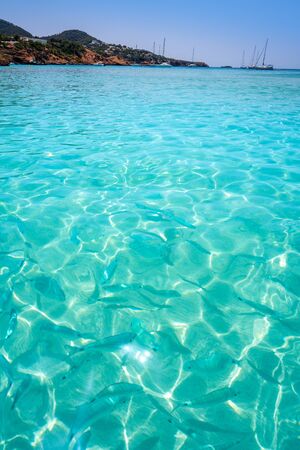 Ibiza Cala Tarida beach in Sant Josep of Balearic Islandsの写真素材