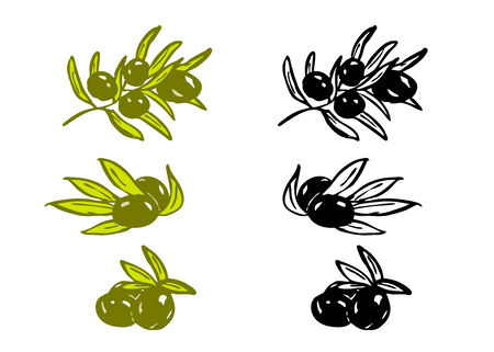 Set of drawing olives  Vector illustrationのイラスト素材