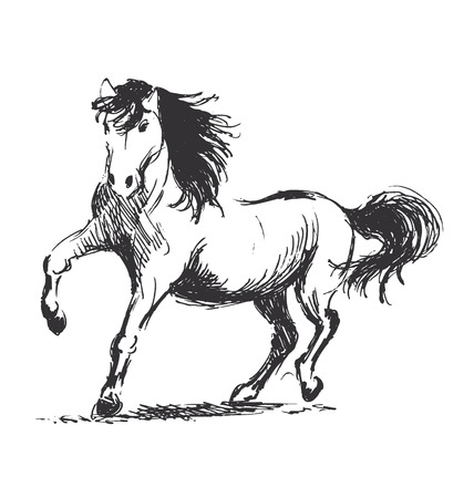 horseのイラスト素材