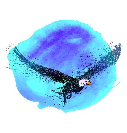 Colored illustration of a flying eagleのイラスト素材