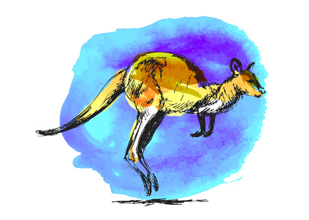 Colored  leaping kangarooのイラスト素材