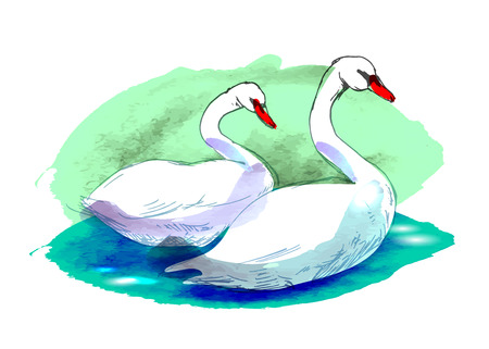 Colored swansのイラスト素材