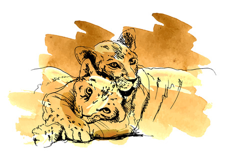 Colored  lion with cubのイラスト素材