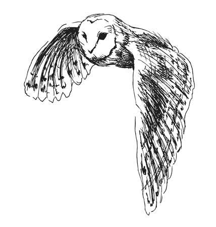 Hand sketch flying owlのイラスト素材