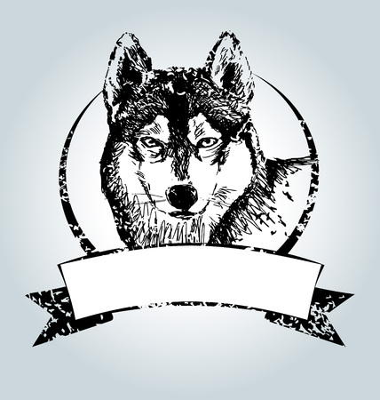 Vector vintage label with Husky headのイラスト素材