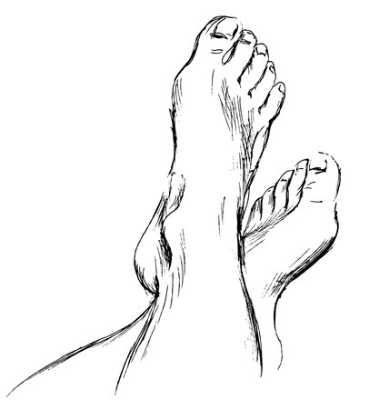 Hand sketch legのイラスト素材