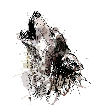 Colored hand drawing of a howling wolf. Vector illustrationのイラスト素材