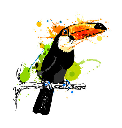 Colored hand sketch toucan. Vector illustrationのイラスト素材
