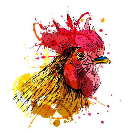 Colored hand sketch rooster head. Vector illustrationのイラスト素材