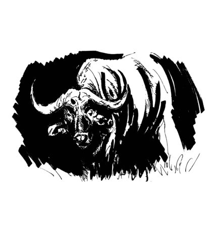 Hand drawing buffalo. Vector illustrationのイラスト素材