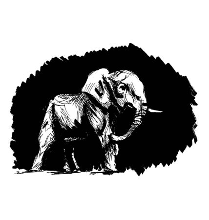 Hand sketch of an elephant on a black background. Vector illustrationのイラスト素材