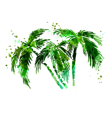 Colored vector silhouette of palm trees. Vector illustrationのイラスト素材