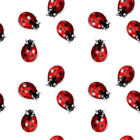 Vector seamless graphics with ladybugs on a white backgroundのイラスト素材