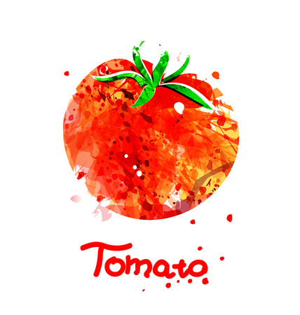 Vector Watercolor illustration of tomatoのイラスト素材