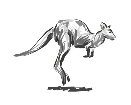 Vector line sketch leaping kangarooのイラスト素材