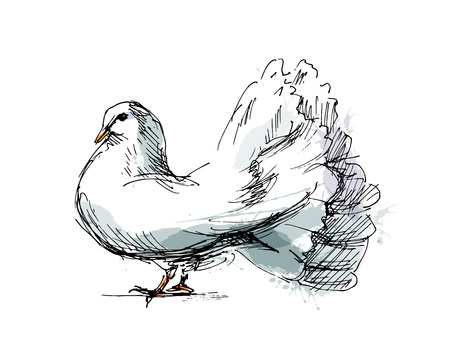 Colored hand sketch dove vector illustration.のイラスト素材