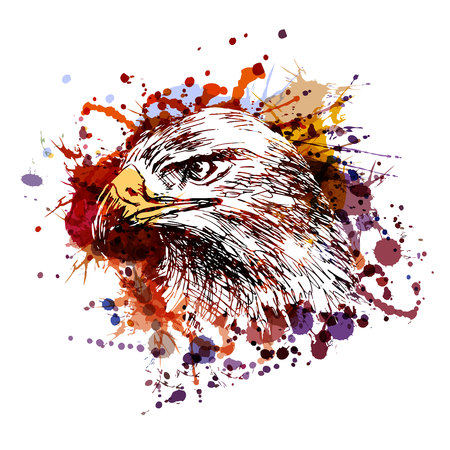 Vector color illustration of an eagle headのイラスト素材