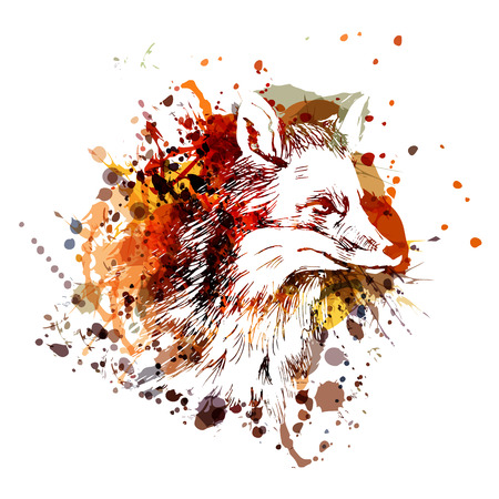 Vector color illustration fox headのイラスト素材