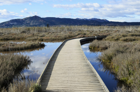 Moor marsh, marsh near Sagunto, Valencia, Spainの写真素材