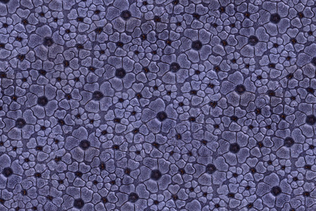 Leather texture background