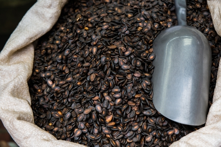 Watermelon seeds in a bag being sold on a standの写真素材