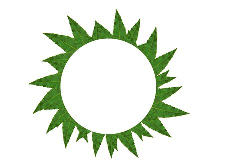 Natural leaves circle border on white backgroundの写真素材