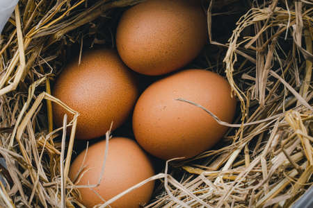 Chicken eggs on a nest of grass for incubationà¸¡Natural organic homemade products.の写真素材
