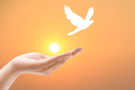 Hand praying and birds free enjoying nature on sunset background hope and freedom conceptの写真素材