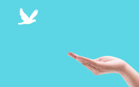 hand praying and birds free enjoying nature on light blue background hope and freedom conceptの写真素材