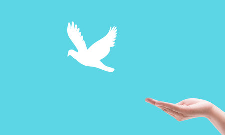 hand praying and birds free enjoying nature on light blue background hope and freedom conceptの写真素材