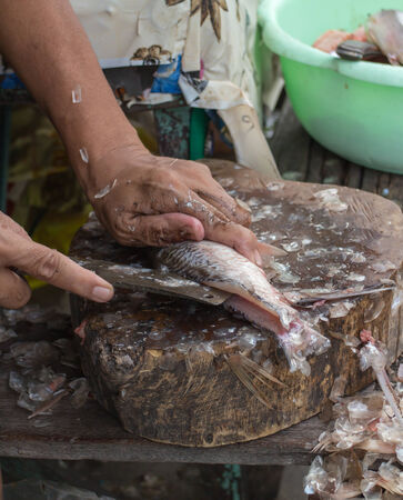 hands cutting a fresh fish on a cutting boardの写真素材