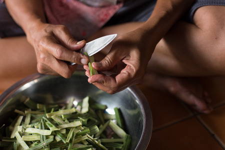 Ask a hand holding a knife and peeled horseradish.の写真素材