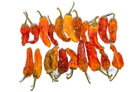 Picture of dried peppers on a white backgroundの写真素材