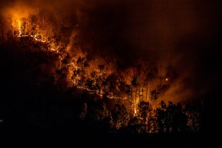 A forest fire burning the side of a mountainの写真素材