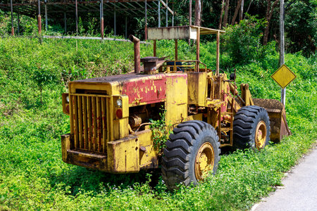 Waterfall in the deep forest valleyの写真素材