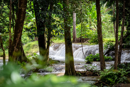 Waterfall in the deep forest valleyの写真素材