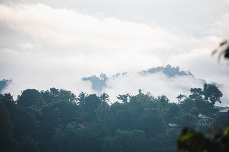 Beautiful mountains and fog in the morning atmosphere without sunlight.の写真素材