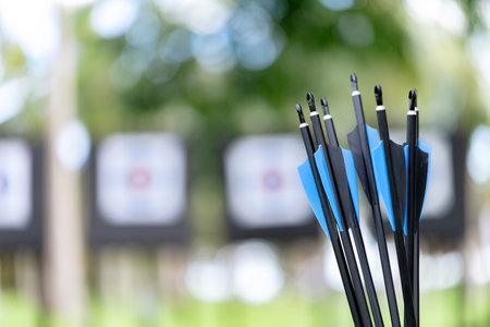 Close-up shot of a bundle of black arrows with blue and black fletchings, with blurred archery...