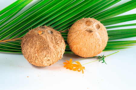 Coconuts with leaves isolated on white backgroundの写真素材