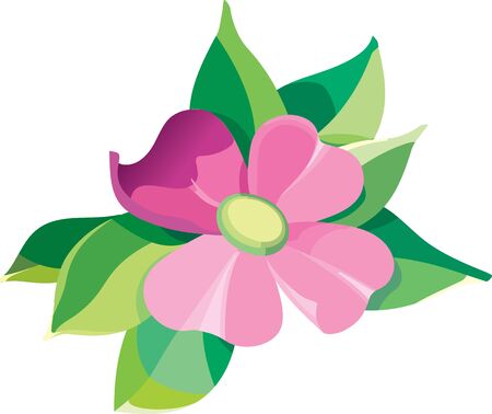 Violet flower with leaves editable vector illustrationのイラスト素材